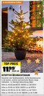 GETOPFTER WEIHNACHTSBAUM im Angebot bei OBI in Bornheim GETOPFTER WEIHNACHTSBAUM Angebote von Blaufichte oder Nordmanntanne bei OBI Bornheim für 11,99 €