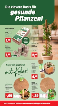 Blumentopf im Thomas Philipps Prospekt "Top Angebote" mit 23 Seiten (Erfurt)