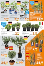 Aktueller Globus-Baumarkt Prospekt mit Kräuter, "Immer eine Idee besser", Seite 5