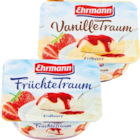 Früchte-, Vanille- oder Grießtraum Angebote von Ehrmann bei Netto Marken-Discount Kiel für 0,44 €