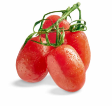 Mini-Roma Rispentomaten bei ALDI Nord in Bremerhaven Mini-Roma Rispentomaten im Angebot bei ALDI Nord Bremerhaven für 1,19 €