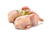 Frische Wachteln  im aktuellen Netto mit dem Scottie Prospekt für 12,99 €
