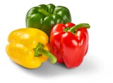 Paprika-Mix im Angebot bei Penny in Weinheim Paprika-Mix Angebote von Marktliebe bei Penny Weinheim für 1,29 €
