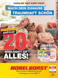 Ariel im Möbel Borst Prospekt "MACH DEIN ZUHAUSE TRAUMHAFT SCHÖN" mit 12 Seiten (Ulm)