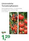 Unveredelte Tomatenpflanzen Angebote bei BayWa AG Heilbronn für 1,29 €