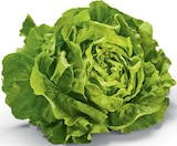 Kopfsalat von Heimat im aktuellen Netto Marken-Discount Prospekt