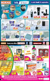 Promos Savon dans le catalogue "Votre Discounter Régional" de Norma Savon en promo dans le catalogue Norma à la page 12
