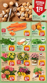 Pflanzen im aktuellen REWE Prospekt (Ludwigshafen (Rhein)) Pflanzen im REWE Prospekt "Dein Markt" mit 28 Seiten (Ludwigshafen (Rhein))