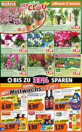 Aktueller Norma Prospekt mit Gartenpflanzen, "Mehr fürs Geld", Seite 14