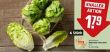 Römersalat »Extra fein« im Angebot bei REWE in Halle Römersalat »Extra fein« Angebote von REWE Feine Welt bei REWE Halle für 1,79 €