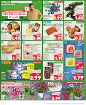 Aktueller Kaufland Prospekt mit Kamin, "Aktuelle Angebote", Seite 22