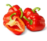 Rote Paprika Angebot in Neutz-Lettewitz Rote Paprika im aktuellen Prospekt bei Penny in Neutz-Lettewitz