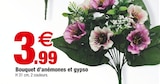 Bouquet d'anémones et gypsophila - Bazarland à Pau Bouquet d'anémones et gypsophila en promo chez Bazarland Pau à 3,99 €