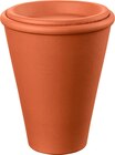 Pot d'irrigation aquado - DEROMA en promo chez Carrefour Pot d'irrigation aquado - DEROMA dans le catalogue Carrefour