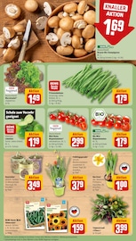 Staubsauger im REWE Prospekt in Castrop-Rauxel Aktueller REWE Prospekt mit Staubsauger, "Dein Markt", Seite 7