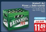 Pilsener oder Radler naturtrüb Angebot in Geseke Pilsener oder Radler naturtrüb im aktuellen Prospekt bei EDEKA in Geseke