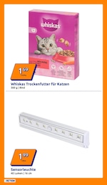 Action Tierfutter im Prospekt 