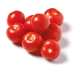 Tomaten bei Netto mit dem Scottie im Rehfelde Prospekt für 1,69 €
