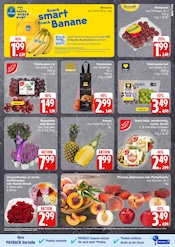 Pflanzen im EDEKA Prospekt in Rostock Aktueller EDEKA Prospekt mit Pflanzen, "Top Angebote", Seite 5