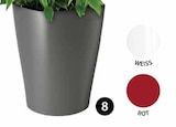 Aktuelles PFLANZGEFÄSSSERIE ‘DELTINI’ Angebot bei Dehner Garten-Center in Essen ab 9,99 €