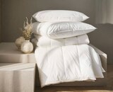 Aktuelle Bettdecke Angebote bei XXXLutz in Augsburg Aktuelles Ganzjahresbett Angebot bei XXXLutz in Augsburg ab 39,99 €