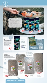 Tierfutter im Zookauf Prospekt in Neubrandenburg Aktueller Zookauf Prospekt mit Tierfutter, "ALLES FÜR LEBENDIGE TEICHMOMENTE", Seite 2