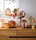 Dekokürbis „Pumpkin“ im Angebot bei mömax in Heilbronn Dekokürbis „Pumpkin“ Angebote bei mömax Heilbronn für 5,99 €