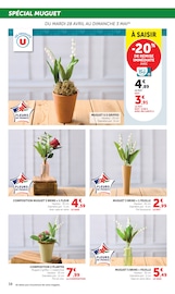 Plante Verte en promo dans le catalogue Super U à la page 38