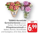 Gartenhortensien im Angebot bei EDEKA in Offenburg Gartenhortensien Angebote von EDEKA Herzstücke bei EDEKA Offenburg für 6,99 €