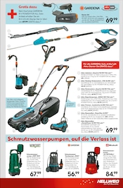 Bäume Angebote im Prospekt "Traumterrasse in jedem Fall" von Hellweg auf Seite 19