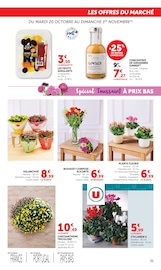Promos Plantes dans le catalogue "Halloween À PRIX BAS" de Super U Plantes en promo dans le catalogue Super U à la page 31