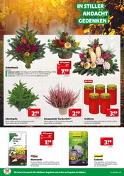 Aktueller Hagebaumarkt Prospekt mit Blumenerde, "UNSERE JUBILÄUMS KNALLER", Seite 18