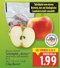 Tafeläpfel Elstar im aktuellen E center Prospekt