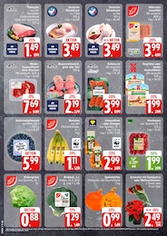 Pflanzen Angebot & Preis im aktuellen EDEKA Prospekt Pflanzen Angebot im aktuellen EDEKA Prospekt auf Seite 2