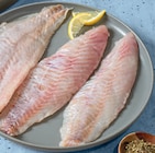 Rotbarschfilet bei tegut im Kolitzheim Prospekt für 2,79 €