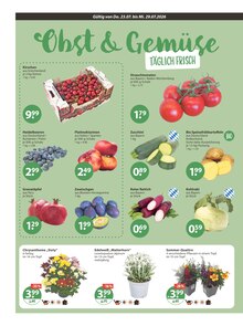 Blumen im V-Markt Prospekt "V-Markt einfach besser einkaufen" mit 17 Seiten (Augsburg)