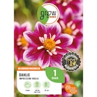Blumenzwiebeln im Angebot bei OBI in Neuwied Blumenzwiebeln Angebote von Grow by Obi bei OBI Neuwied für 3,99 €
