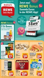 REWE Prospekt für Frechen mit 28 Seiten REWE Prospekt für Frechen: "Dein Markt", 28 Seiten, 13.01.2025 - 18.01.2025