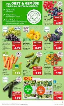 Salat im aktuellen Kaufland Prospekt (Frankfurt (Main)) Salat im Kaufland Prospekt "Aktuelle Angebote" mit 62 Seiten (Frankfurt (Main))