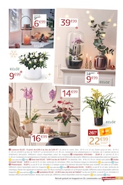 Prix et réduction Lanterne dans le prospectus Jardiland en cours Offre Lanterne dans le catalogue Jardiland du moment à la page 13