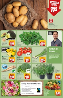 Tomaten im REWE Prospekt "Dein Markt" mit 30 Seiten (Ingolstadt)