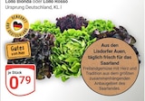 GLOBUS Völklingen Prospekt mit  im Angebot für 0,79 €
