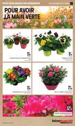 Offre Fleurs dans le catalogue Intermarché du moment à la page 3