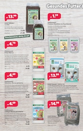 Katzenfutter im Kiebitzmarkt Prospekt in Cottbus Aktueller Kiebitzmarkt Prospekt mit Katzenfutter, "100 Jahre Petzold", Seite 6
