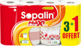 ESSUIE-TOUT SOPALIN - SOPALIN dans le catalogue Auchan Supermarché