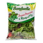 Jeunes pousses et roquette BONDUELLE dans le catalogue Carrefour