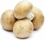 Champignons braun im Angebot bei E center in Karlsruhe Champignons braun Angebote bei E center Karlsruhe für 1,79 €