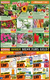 Waschmittel Angebot & Preis im aktuellen Norma Prospekt Waschmittel Angebot im aktuellen Norma Prospekt auf Seite 12