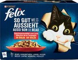 Aktuelles Katzennahrung Multipack Angebot bei Netto Marken-Discount in Magdeburg ab 3,99 €