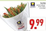 Tulpen Angebote von EDEKA Herzstücke bei Marktkauf Unna für 9,99 €